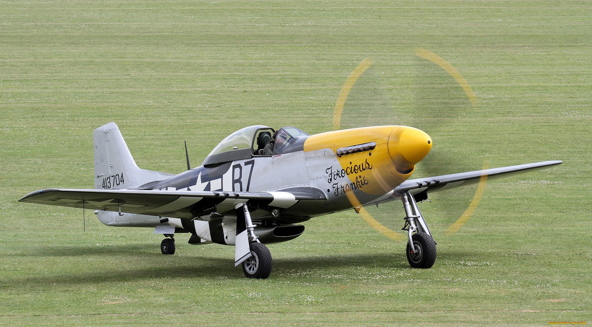 p-51d mustang, ,  , 